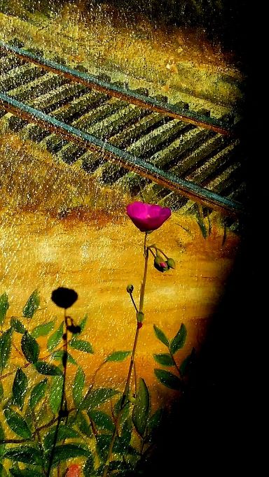 flower in front of the mural